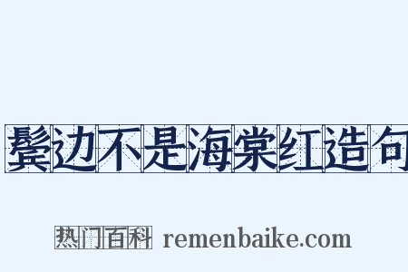 鬓边不是海棠红造句是什么意思的图片